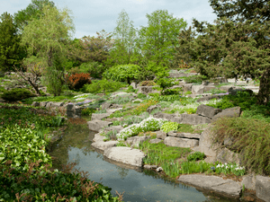 Photo of Montreal Botanical Garden