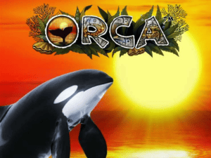 Banner of Orca