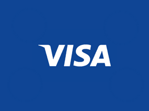 Banner of Visa Payments